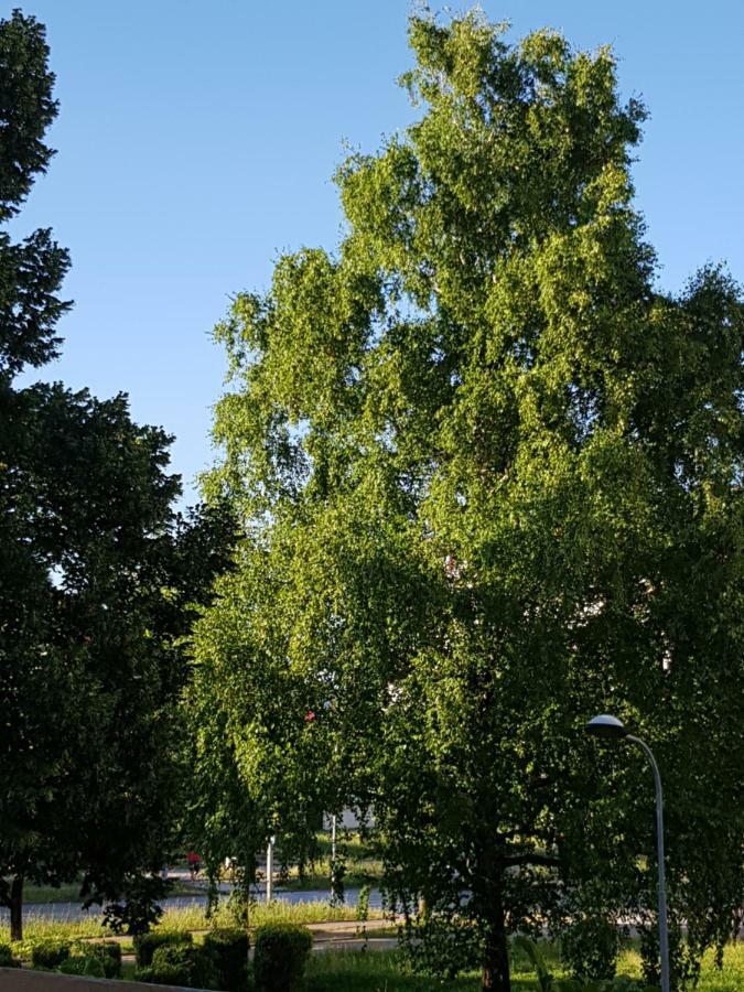Apartman Tasa Banja Luka Luaran gambar